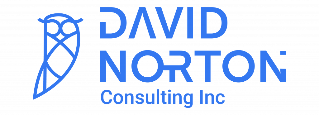 David Norton consulting inc