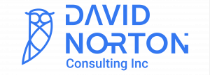 David Norton consulting inc